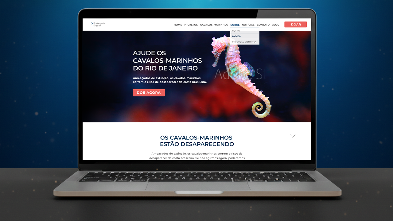 Site do Projeto Cavalos-Marinhos construído pela Solvy
